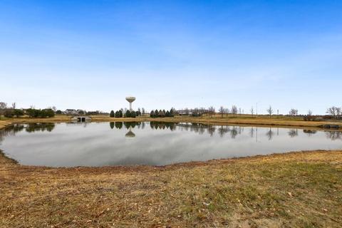 12934 White Pine Way, Plainfield, IL 60585 photo 32