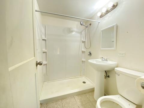 259 Eastern Ave, Aurora, IL 60505 photo 16