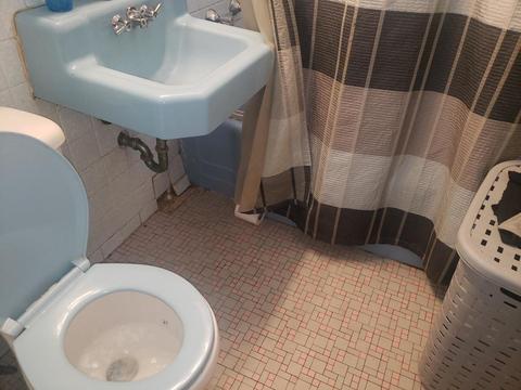 8105 S Artesian Ave, Chicago, IL 60652 photo 7