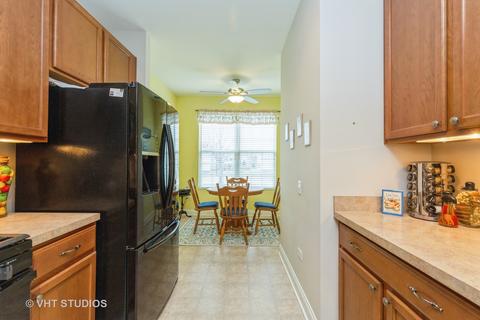 841 Butterfly Field Dr, Elgin, IL 60124 photo 5