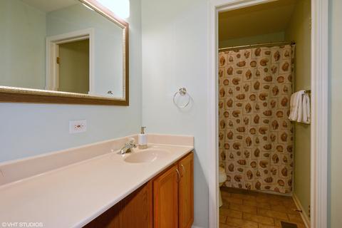 6101 Pheasant Ridge Dr, Plainfield, IL 60586 photo 11