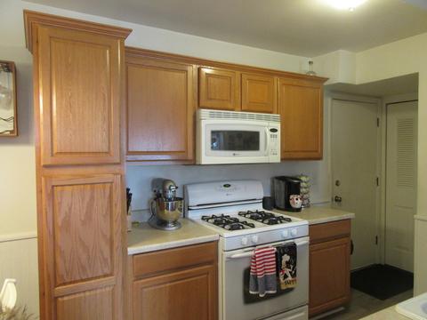 195 Elizabeth Ct #B, Bartlett, IL 60103 photo 2