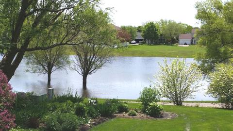 1392 Iris Ave, Carol Stream, IL 60188 photo 10