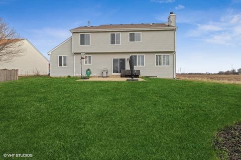 25203 Pavilion Pl, Plainfield, IL 60585 photo 21