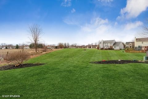 25203 Pavilion Pl, Plainfield, IL 60585 photo 20