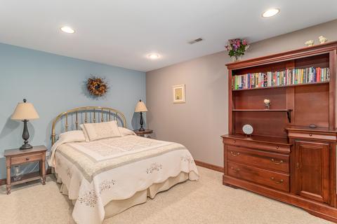 15215 Hamlin St, Plainfield, IL 60544 photo 28
