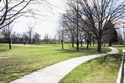 539 Ashland Ave, Elgin, IL 60123 photo 26
