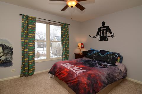 5 Driftwood Ct, Algonquin, IL 60102 photo 25