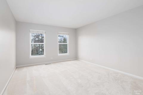 3521 Wintergreen Ter, Algonquin, IL 60102 photo 29