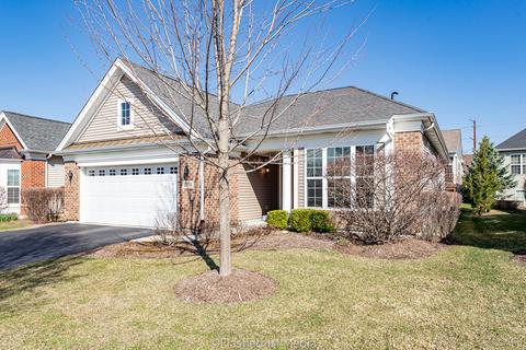 3874 Kingsmill Dr, Elgin, IL 60124 photo 1