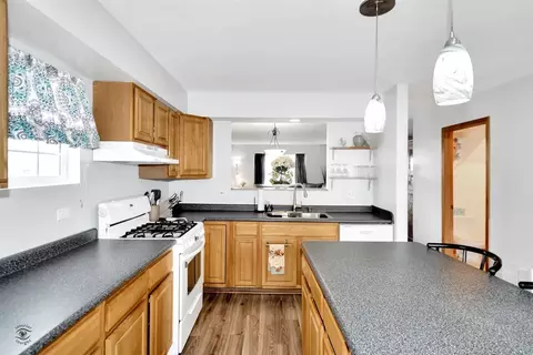 1334 Fox Hound Trl, Beecher, IL 60401 photo 9