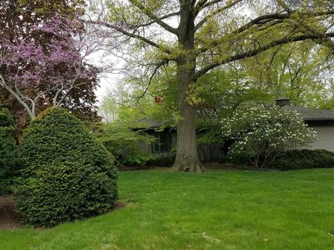 523 Christopher St, Morrison, IL 61270 photo 30