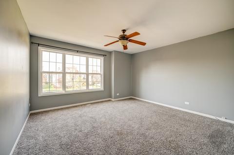 26414 W Red Apple Rd, Plainfield, IL 60585 photo 22