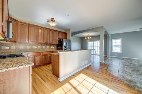 26414 W Red Apple Rd, Plainfield, IL 60585 photo 14