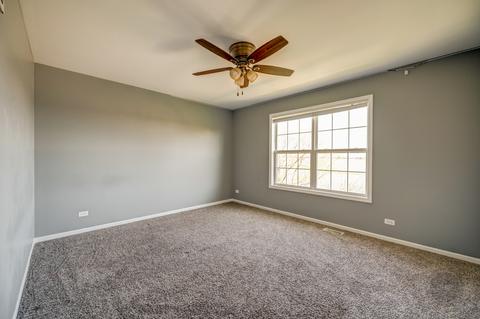 26414 W Red Apple Rd, Plainfield, IL 60585 photo 24