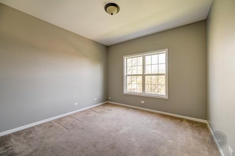 26414 W Red Apple Rd, Plainfield, IL 60585 photo 16