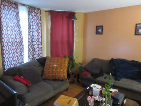 249 E 113th St, Chicago, IL 60628 photo 7
