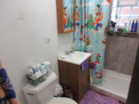 249 E 113th St, Chicago, IL 60628 photo 9