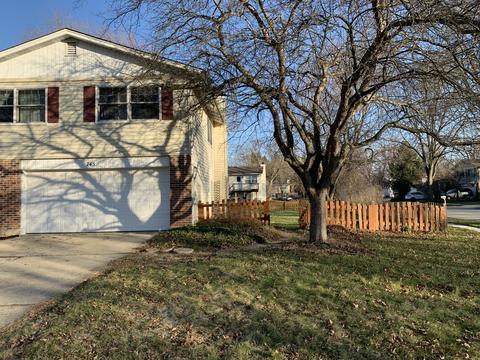 745 Mulberry Ct, Algonquin, IL 60102 photo 3