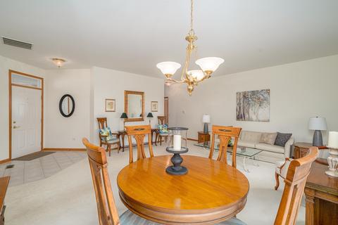 21312 W Juniper Ln, Plainfield, IL 60544 photo 5
