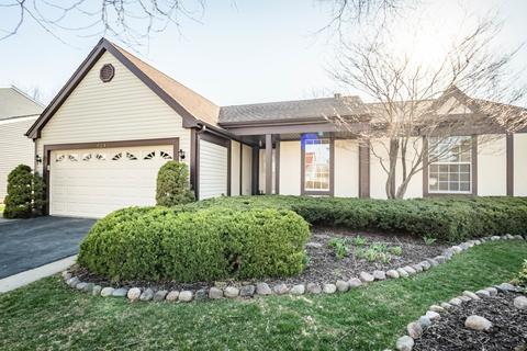 1315 S Highgoal Dr, Wheeling, IL 60090 photo 1
