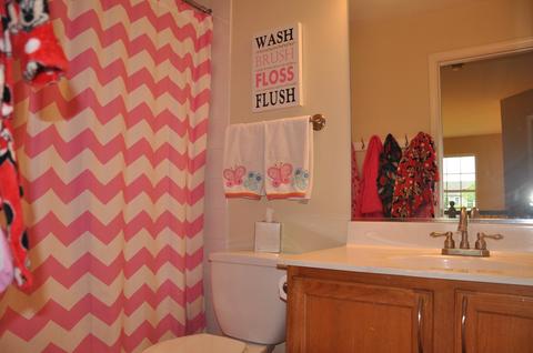 431 Diamondback Way, Algonquin, IL 60102 photo 13
