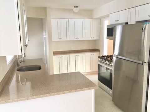 523 Good Ave, Des Plaines, IL 60016 photo 6