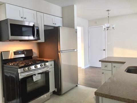 523 Good Ave, Des Plaines, IL 60016 photo 5