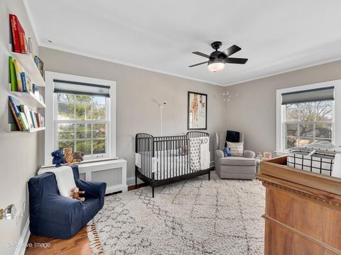 256 E Forest Ave, Elmhurst, IL 60126 photo 26
