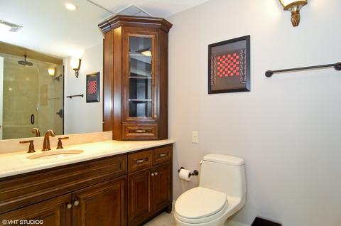 180 E Pearson St #5501, Chicago, IL 60611 photo 20