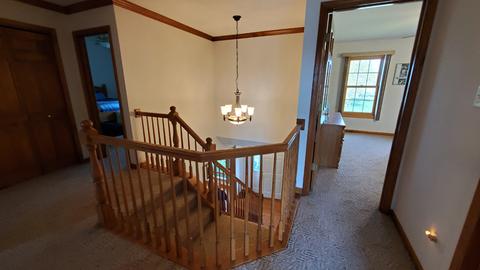 16206 S Howard St, Plainfield, IL 60586 photo 15