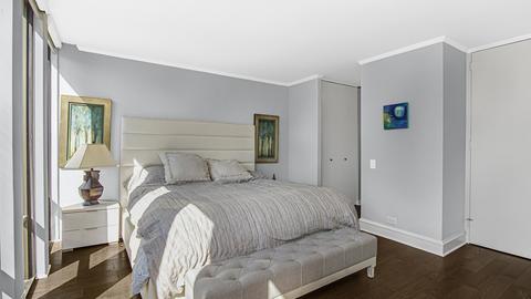 200 E Delaware Pl #32E, Chicago, IL 60611 photo 10