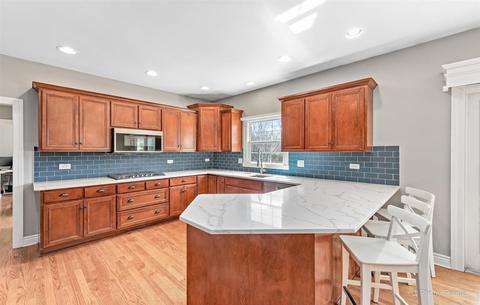 13252 Allyn St, Plainfield, IL 60585 photo 10
