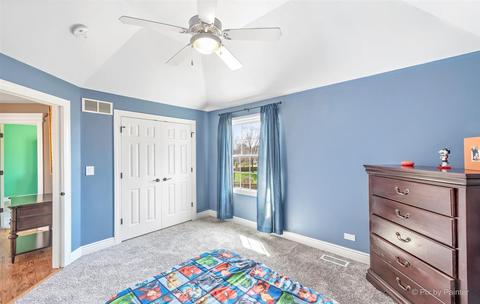 13252 Allyn St, Plainfield, IL 60585 photo 35