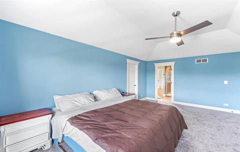 13252 Allyn St, Plainfield, IL 60585 photo 26
