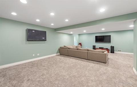 13252 Allyn St, Plainfield, IL 60585 photo 39