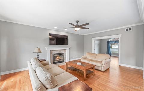 13252 Allyn St, Plainfield, IL 60585 photo 19