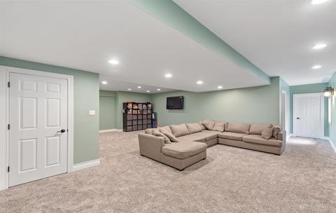13252 Allyn St, Plainfield, IL 60585 photo 41