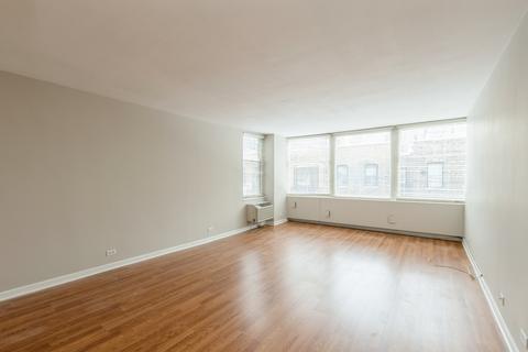 30 Elm St #4D, Chicago, IL 60611 photo 4