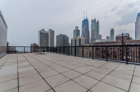 30 Elm St #4D, Chicago, IL 60611 photo 14