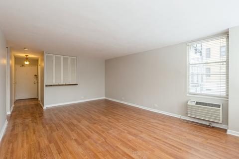 30 Elm St #4D, Chicago, IL 60611 photo 7