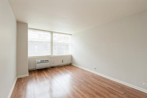 30 Elm St #4D, Chicago, IL 60611 photo 12