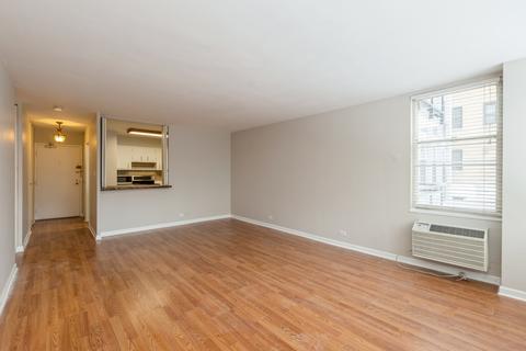 30 Elm St #4D, Chicago, IL 60611 photo 6