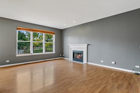 11314 S Marathon Ln S, Plainfield, IL 60585 photo 7