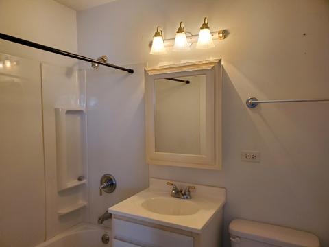 5361 W Mill St, Monee, IL 60449 photo 15