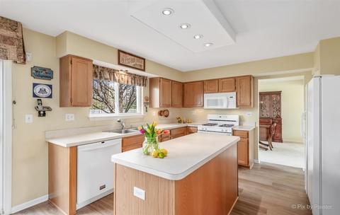 1412 Wildmint Trl, Elgin, IL 60123 photo 13
