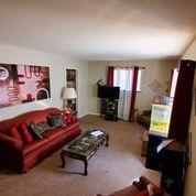 17306 Lorenz Ave, Lansing, IL 60438 photo 29