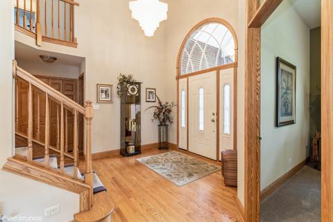 20012 White Pine Ct, Mokena, IL 60448 photo 3