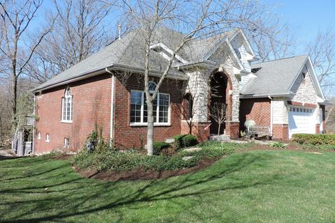 20012 White Pine Ct, Mokena, IL 60448 photo 34