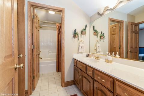 20012 White Pine Ct, Mokena, IL 60448 photo 24